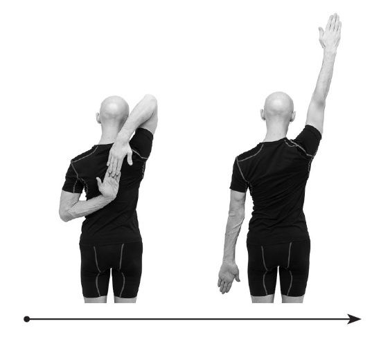 Иллюстрация к книге — Йогатерапия. Практическое руководство [i_235.jpg]