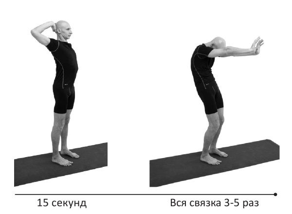 Иллюстрация к книге — Йогатерапия. Практическое руководство [i_241.jpg]