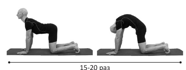 Иллюстрация к книге — Йогатерапия. Практическое руководство [i_242.jpg]