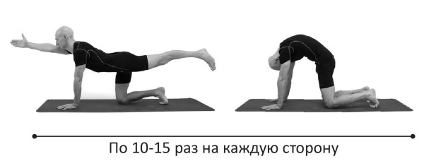 Иллюстрация к книге — Йогатерапия. Практическое руководство [i_246.jpg]