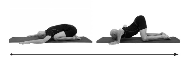 Иллюстрация к книге — Йогатерапия. Практическое руководство [i_249.jpg]