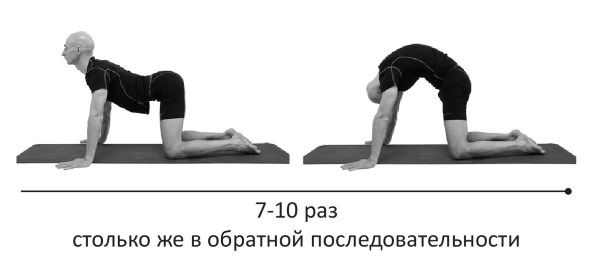 Иллюстрация к книге — Йогатерапия. Практическое руководство [i_250.jpg]