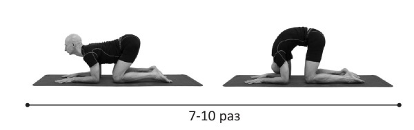 Иллюстрация к книге — Йогатерапия. Практическое руководство [i_252.jpg]