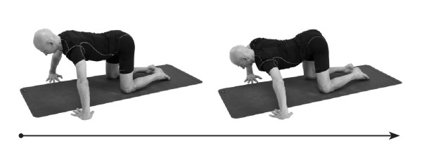 Иллюстрация к книге — Йогатерапия. Практическое руководство [i_257.jpg]