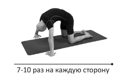 Иллюстрация к книге — Йогатерапия. Практическое руководство [i_259.jpg]