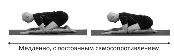 Иллюстрация к книге — Йогатерапия. Практическое руководство [i_277.jpg]