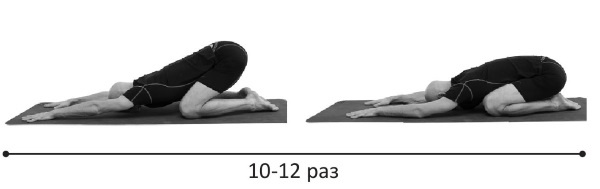 Иллюстрация к книге — Йогатерапия. Практическое руководство [i_278.jpg]