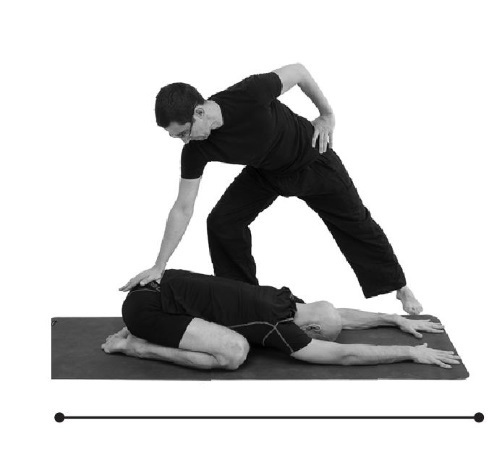 Иллюстрация к книге — Йогатерапия. Практическое руководство [i_279.jpg]