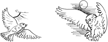 Иллюстрация к книге — Биоритмы, или Как стать здоровым [_23.jpg]