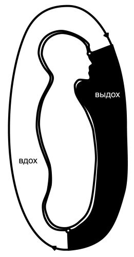 Иллюстрация к книге — Все дыхательные гимнастики. Для здоровья тех, кому за... [Autogen_eBook_id21.jpg]