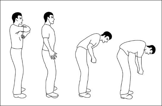 Иллюстрация к книге — Все дыхательные гимнастики. Для здоровья тех, кому за... [Autogen_eBook_id29.jpg]