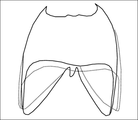 Иллюстрация к книге — Все дыхательные гимнастики. Для здоровья тех, кому за... [Autogen_eBook_id3.jpg]