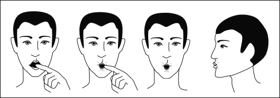 Иллюстрация к книге — Все дыхательные гимнастики. Для здоровья тех, кому за... [Autogen_eBook_id36.jpg]