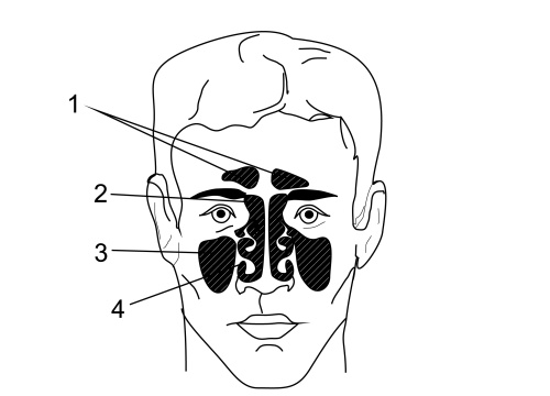 Иллюстрация к книге — Все дыхательные гимнастики. Для здоровья тех, кому за... [Autogen_eBook_id38.jpg]