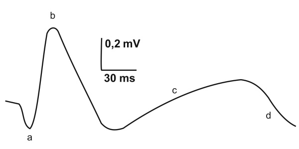 Иллюстрация к книге — Медицинские исследования. Полный справочник [i_007.jpg]