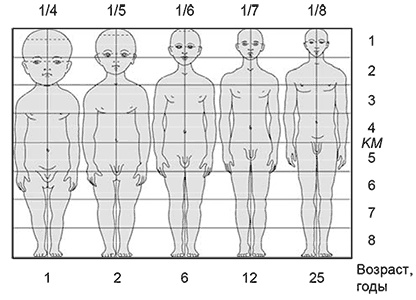 Иллюстрация к книге — Здоровый мужчина в вашем доме [i_007.jpg]