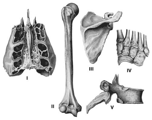 Иллюстрация к книге — Здоровый мужчина в вашем доме [i_009.jpg]