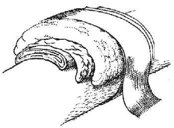 Иллюстрация к книге — 1000 советов опытного доктора. Как помочь себе и близким в экстремальных ситуациях [i_005.jpg]