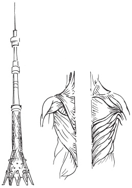 Иллюстрация к книге — Изометрическая гимнастика для занятых людей [Autogen_eBook_id1.jpg]