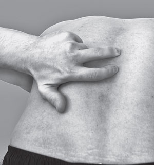 Иллюстрация к книге — Изометрическая гимнастика для занятых людей [Autogen_eBook_id14.jpg]