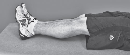 Иллюстрация к книге — Изометрическая гимнастика для занятых людей [Autogen_eBook_id53.jpg]