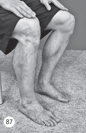 Иллюстрация к книге — Как избавиться от боли в суставах ног [i_100.jpg]