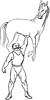 Иллюстрация к книге — Как избавиться от боли в суставах рук [i_007.jpg]