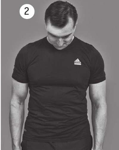 Иллюстрация к книге — Позвоночник без боли. Курс изометрической гимнастики [i_009.jpg]