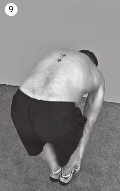 Иллюстрация к книге — Позвоночник без боли. Курс изометрической гимнастики [i_016.jpg]