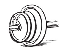 Иллюстрация к книге — Позвоночник без боли. Курс изометрической гимнастики [i_044.jpg]