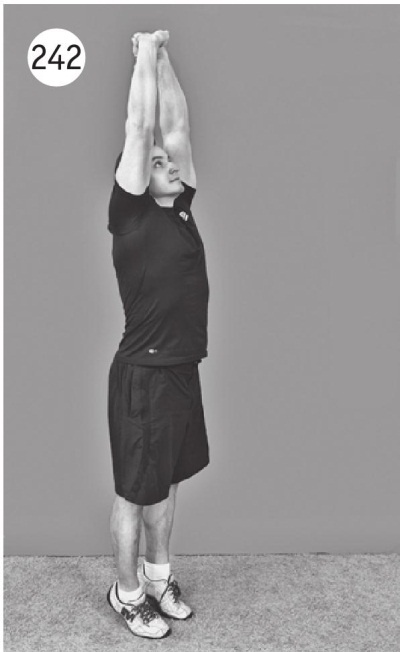 Иллюстрация к книге — Позвоночник без боли. Курс изометрической гимнастики [i_254.jpg]