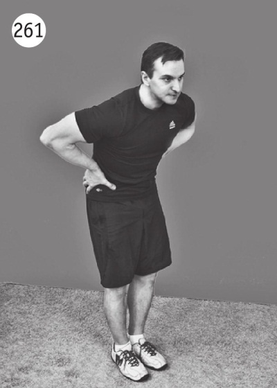 Иллюстрация к книге — Позвоночник без боли. Курс изометрической гимнастики [i_273.jpg]