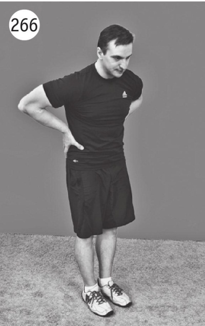 Иллюстрация к книге — Позвоночник без боли. Курс изометрической гимнастики [i_278.jpg]