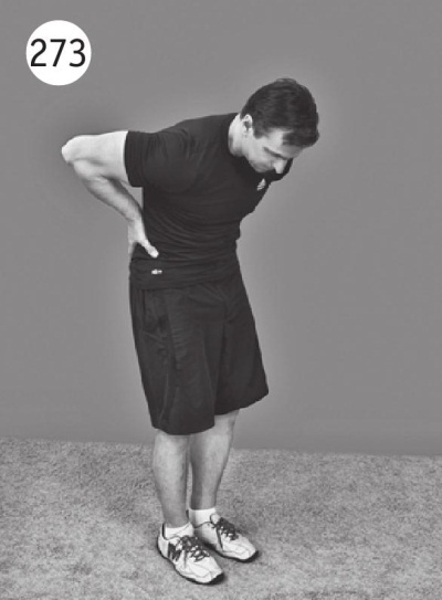 Иллюстрация к книге — Позвоночник без боли. Курс изометрической гимнастики [i_285.jpg]