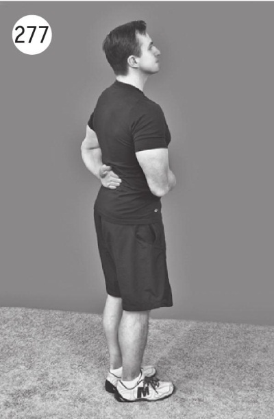 Иллюстрация к книге — Позвоночник без боли. Курс изометрической гимнастики [i_289.jpg]