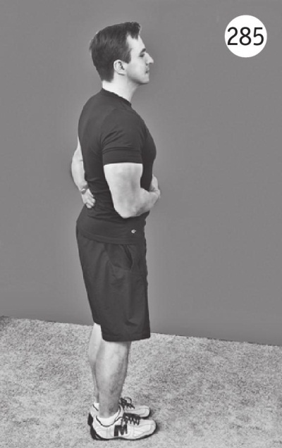 Иллюстрация к книге — Позвоночник без боли. Курс изометрической гимнастики [i_297.jpg]