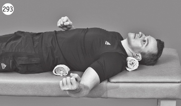 Иллюстрация к книге — Позвоночник без боли. Курс изометрической гимнастики [i_305.jpg]