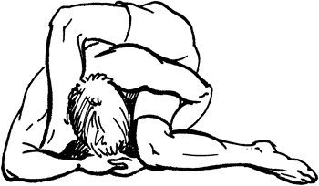 Иллюстрация к книге — Поясница без боли. Уникальный изометрический тренинг [i_013.jpg]