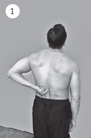 Иллюстрация к книге — Поясница без боли. Уникальный изометрический тренинг [i_014.jpg]