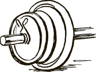 Иллюстрация к книге — Поясница без боли. Уникальный изометрический тренинг [i_139.jpg]