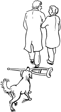 Иллюстрация к книге — Поясница без боли. Уникальный изометрический тренинг [i_179.jpg]