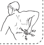 Иллюстрация к книге — Система &quot;Живая осанка&quot;. Уникальный курс постановки осанки за 30 дней [Autogen_eBook_id100.jpg]