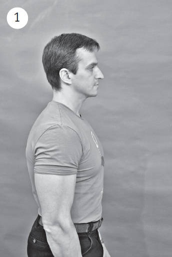 Иллюстрация к книге — Система &quot;Живая осанка&quot;. Уникальный курс постановки осанки за 30 дней [Autogen_eBook_id114.jpg]