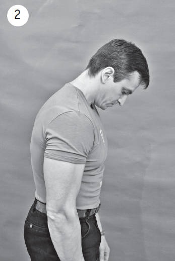 Иллюстрация к книге — Система &quot;Живая осанка&quot;. Уникальный курс постановки осанки за 30 дней [Autogen_eBook_id115.jpg]