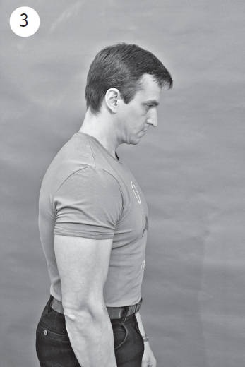 Иллюстрация к книге — Система &quot;Живая осанка&quot;. Уникальный курс постановки осанки за 30 дней [Autogen_eBook_id116.jpg]