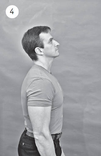 Иллюстрация к книге — Система &quot;Живая осанка&quot;. Уникальный курс постановки осанки за 30 дней [Autogen_eBook_id117.jpg]