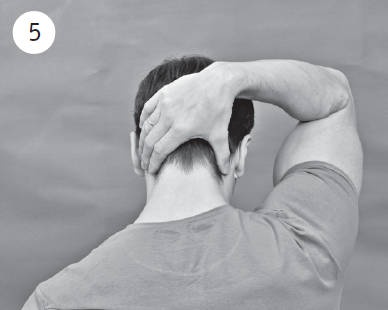 Иллюстрация к книге — Система &quot;Живая осанка&quot;. Уникальный курс постановки осанки за 30 дней [Autogen_eBook_id118.jpg]