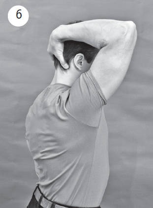 Иллюстрация к книге — Система &quot;Живая осанка&quot;. Уникальный курс постановки осанки за 30 дней [Autogen_eBook_id119.jpg]