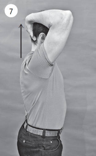 Иллюстрация к книге — Система &quot;Живая осанка&quot;. Уникальный курс постановки осанки за 30 дней [Autogen_eBook_id121.jpg]