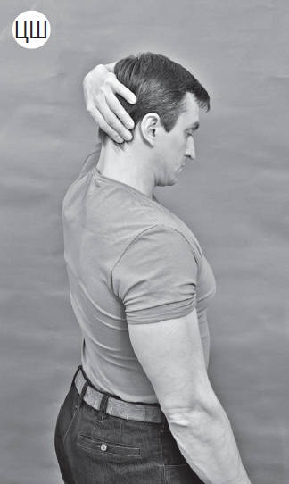 Иллюстрация к книге — Система &quot;Живая осанка&quot;. Уникальный курс постановки осанки за 30 дней [Autogen_eBook_id126.jpg]